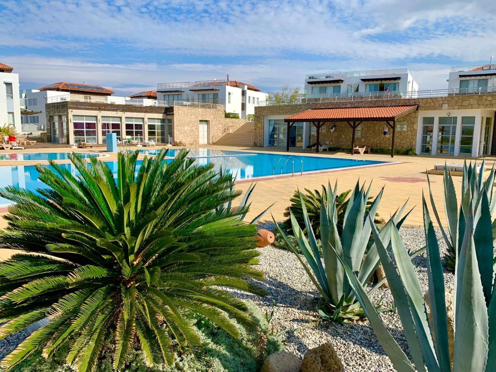 Boho Bay Apartment Akanthou Luaran gambar